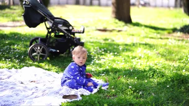 Little Girl Apple Her Hand Sits Blanket Green Lawn High — Video Stock