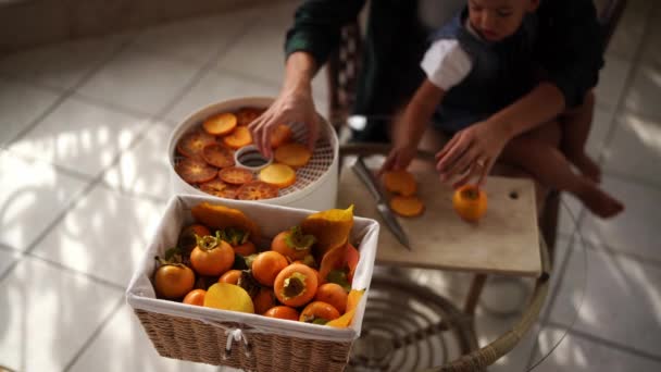 Mom Little Girl Her Arms Lays Out Chopped Persimmons Drying — Stockvideo