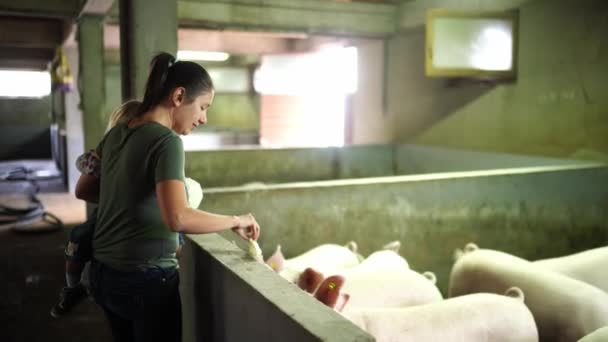 Mom Little Girl Her Arms Feeds Herd Young Piglets Paddock — Vídeo de stock