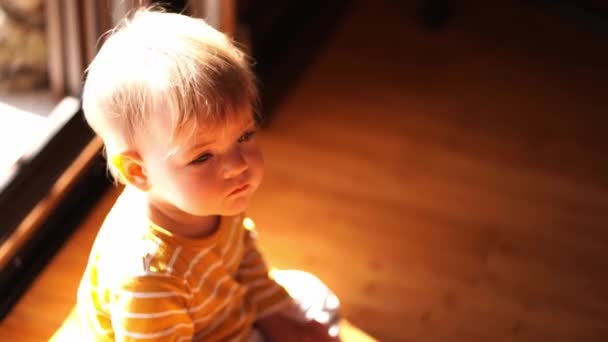 Kleine Baby Zit Vloer Kamer Begint Kruipen Hoge Kwaliteit Beeldmateriaal — Stockvideo
