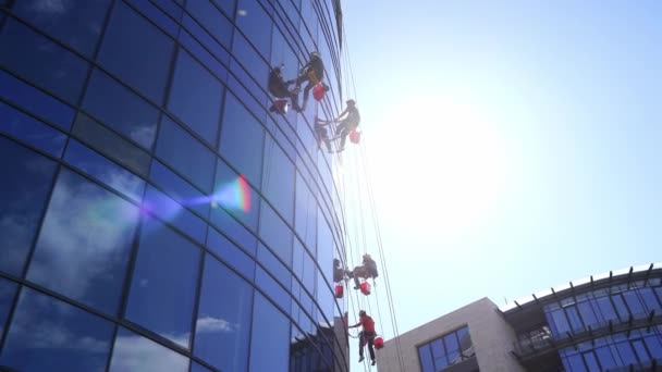 工業用登山者は高層ビルの窓を洗う 高品質4K映像 — ストック動画