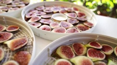 Pieces of figs lie on trays for electric drying on the table. High quality 4k footage