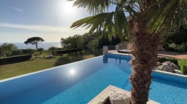 Swimming pool in the garden with green palm trees. High quality 4k footage