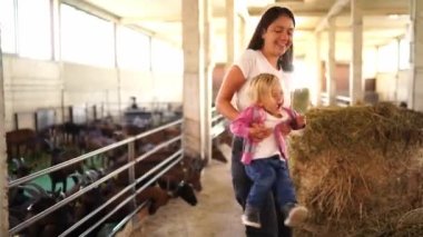 Mom spins a little girl on a farm with goats. High quality 4k footage