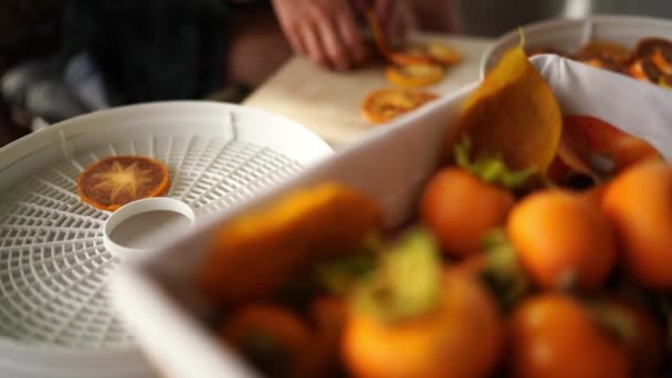 Cozinheiro Coloca Pedaços Cáqui Uma Bandeja Para Secar Frutas Perto — Vídeo de Stock