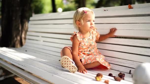 Little Girl Babbles While Sitting Wooden Bench Chestnuts Cones High — Stok video