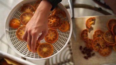Housewife stacks persimmon pieces on fruit dryer trays on table. High quality 4k footage