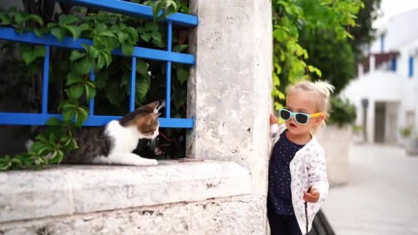 Little Girl Plays Cat Thin Twig Peeking Out Fence High — Stock videók