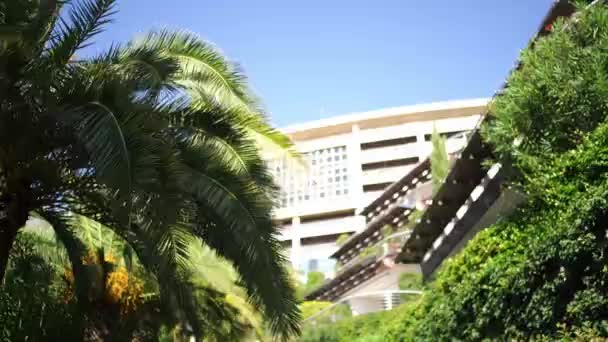Palmiers Verts Dans Jardin Près Complexe Hôtelier Dukley Monténégro Des — Video