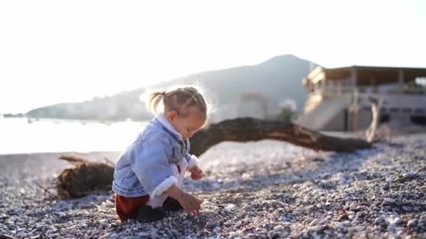 Mała Dziewczynka Przykuca Pobliżu Zaczepki Grzebie Kamykach Plaży Wysokiej Jakości — Wideo stockowe