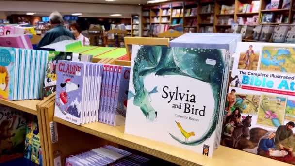 Kitapçıda Bir Sürü Renkli Çocuk Kitapları Olan Raflar Yüksek Kalite — Stok video
