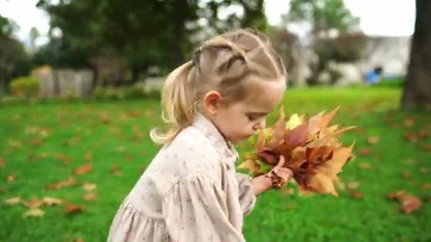 小さな女の子は緑の芝生の上を歩いている間に落ちた葉の花束を収集します 高品質4K映像 — ストック動画