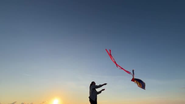 カラフルな凧は 文字列を保持女の子の上に空気中を旋回しています 高品質4K映像 — ストック動画