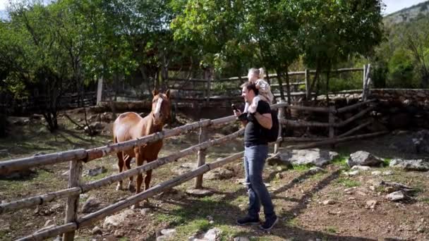 爸爸背着一个小女孩在公园的篱笆里喂马 高质量的4K镜头 — 图库视频影像
