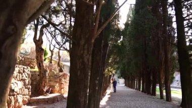 Gelin ve damat parkta taş duvarın yanındaki ağaçların arasında sarılıyorlar. Yüksek kaliteli FullHD görüntüler