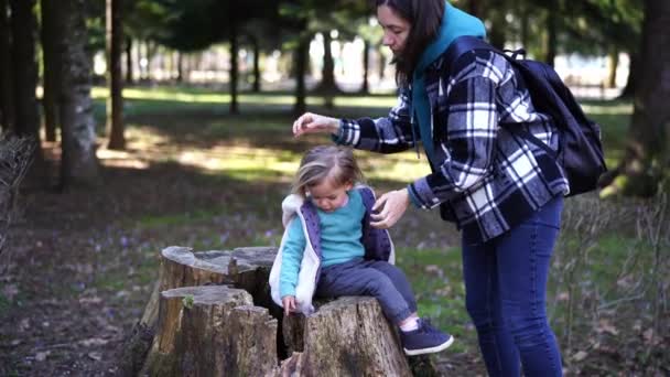 엄마는 공원의 그루터기에 소녀에게 머리를 고품질 — 비디오