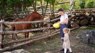 Parkta çitin arkasında at besleyen küçük bir kızla anne. Yüksek kalite 4k görüntü