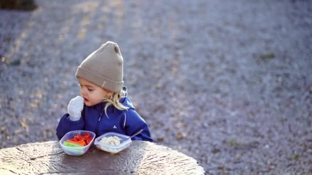 Gadis Kecil Makan Daging Dengan Tangannya Dari Kotak Makan Siang — Stok Video