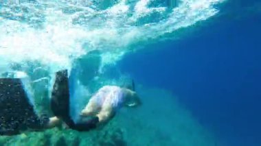 Dalış maskeli bir dalgıç deniz taşlarına daldı. Yüksek kalite 4k görüntü