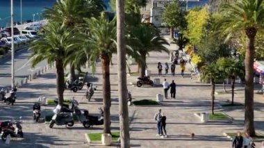 Rüzgar, denizdeki palmiyeleri sallıyor ve insanlar yürüyor. Yüksek kalite 4k görüntü