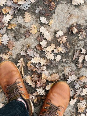 Çizmeli adamlar, düşen meşe yapraklarının arasında asfaltta dikiliyorlar. Üst Manzara. Kırpılmış. Yüksek kalite fotoğraf