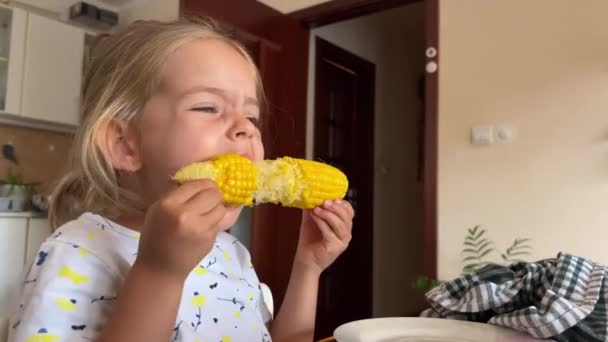 Klein Meisje Knabbelt Aan Een Gekookte Maïskolf Terwijl Aan Tafel — Stockvideo
