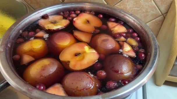 リンゴとブドウから成る果物は ストーブの上の鍋で調理されます 高品質4K映像 — ストック動画