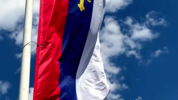 Σημαία Της Σερβικής Ορθόδοξης Εκκλησίας Κυματίζει Κοντάρι Σημαίας Υψηλής Ποιότητας — Αρχείο Βίντεο