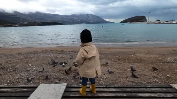 Küçük Kız Sahilde Bir Bankta Duruyor Güvercinleri Ekmekle Besliyor Arkadan — Stok video