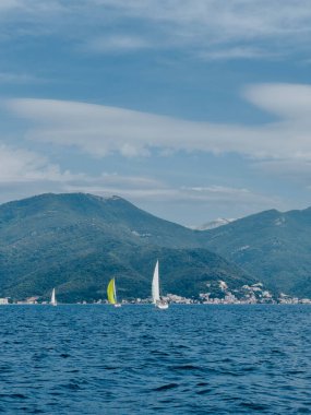 Yelkenli yatlar yüksek yeşil bir dağ sırasının arka planına karşı denizde yüzerler. Yüksek kalite fotoğraf