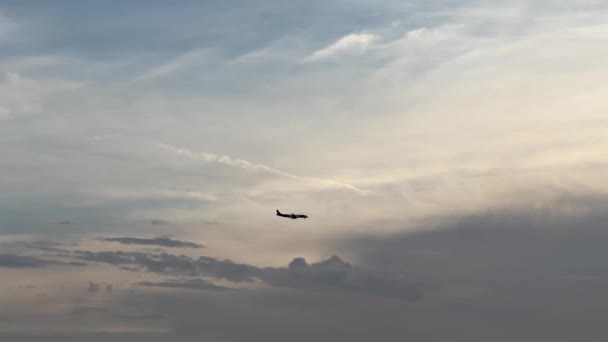Passagerarplan Flyger Solnedgången Himlen Över Träden Högkvalitativ Film — Stockvideo