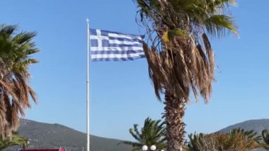 Yunanistan bayrağı, gökyüzüne karşı bir palmiye ağacının yanındaki bayrak direğinde dalgalanır. Yüksek kalite 4k görüntü