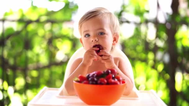Ein Kleines Kind Isst Kirschen Aus Einer Schüssel Während Auf — Stockvideo