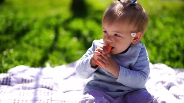 少女は毛布の上に座り ニンジンを食べる 高品質4K映像 — ストック動画