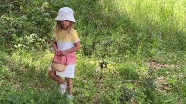 Sepetli küçük bir kız ormanda yürüyor ve böğürtlen topluyor. Yüksek kalite 4k görüntü
