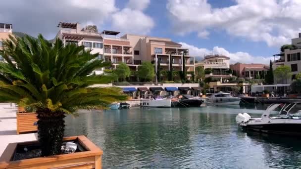 Променад Порту Зелеными Пальмами Ваннах Красочные Здания Пристань Монтенегро Высококачественные — стоковое видео