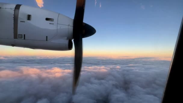 日没の空に雲の上を飛ぶ旅客機のプロペラを回転させます 高品質4K映像 — ストック動画