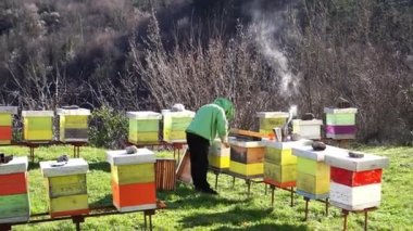 Arı kovanının yanındaki arı kovanında koruyucu kıyafetli bir arı yetiştiricisi duruyor. Yüksek kalite 4k görüntü