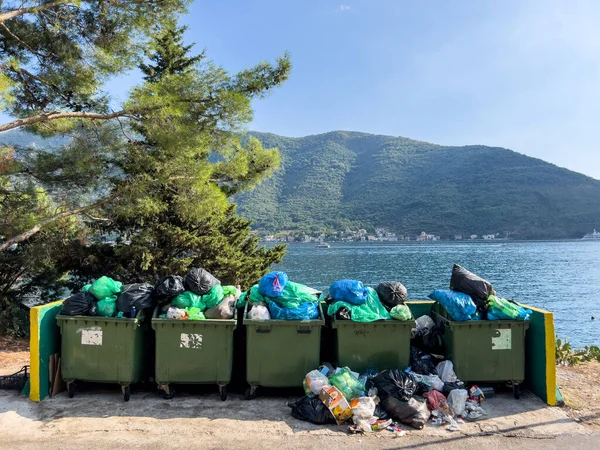 Latas Lixo Transbordantes Ficam Uma Cerca Praia Perto Uma Árvore — Fotografia de Stock