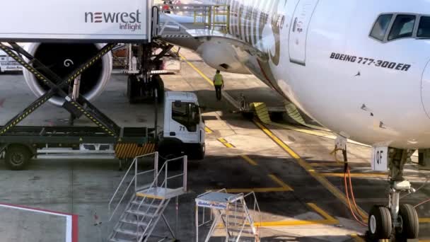 乗客の飛行機を地上で検査している空港労働者 高品質4K映像 — ストック動画