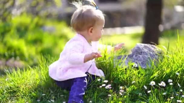小さな女の子は緑の芝生の上に座って石を登る 高品質4K映像 — ストック動画