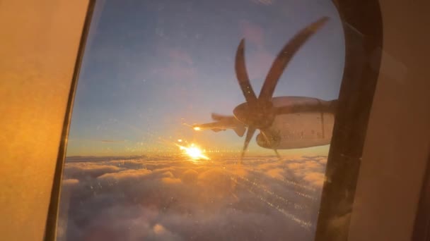회전하는 프로펠러를 석양을 배경으로 날아가는 비행기의 뱃머리에서 바라본다 고품질 — 비디오
