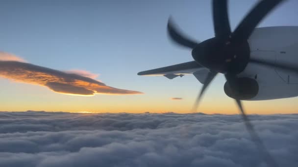 Repülő Repülőgép Forgópropellere Naplemente Hátterében Kiváló Minőségű Felvételek — Stock videók