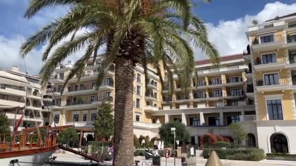 リージェントホテルの前で緑のヤシの木が風に揺れる モンテネグロのポルト 高品質4K映像 — ストック動画
