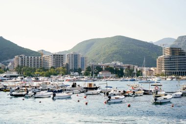 Budva açıklarında motorlu yatları olan bir rıhtım. Karadağ. Yüksek kalite fotoğraf