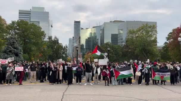 Toronto Kanada Ekim 2023 Torontos Silueti Arasında Gazze Srail Barış — Stok video