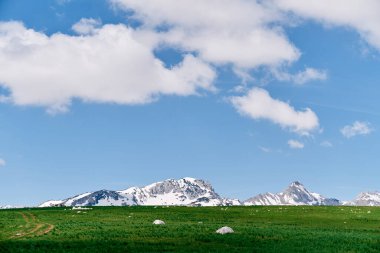 Parlak yeşil ovalar karlı dağların arka planına karşı. Yüksek kalite fotoğraf