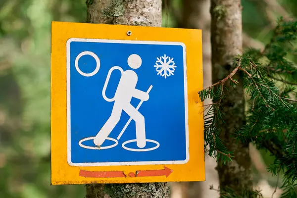 Winter hiking trail sign hanging on a tree in the forest. High quality photo