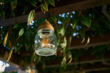 Kavanozdaki lamba, bahçedeki yeşil dallarla çevrili ahşap bir pergola demetine asılı. Yüksek kalite fotoğraf
