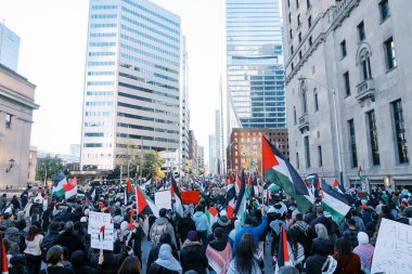 Filistinlilerin Gazze 'deki İsrail saldırısına karşı Toronto' da savaş karşıtı yürüyüş. İsrail-HAMAS savaşını barışçıl bir şekilde protesto ediyor. Protestocular bayrak sallıyor. Filistin soykırımı.